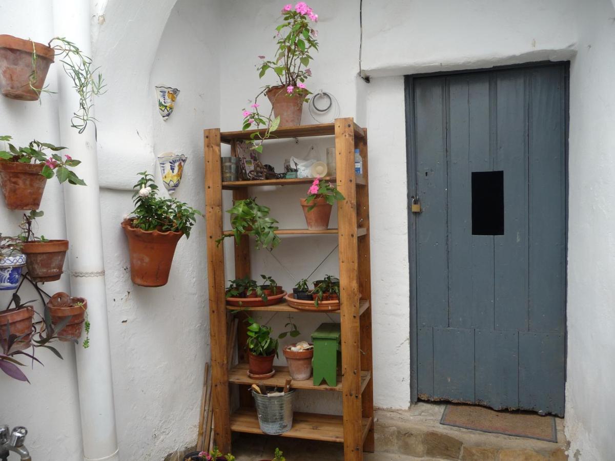 הוילה וחר דה לה פרונטרה Casa Sol מראה חיצוני תמונה