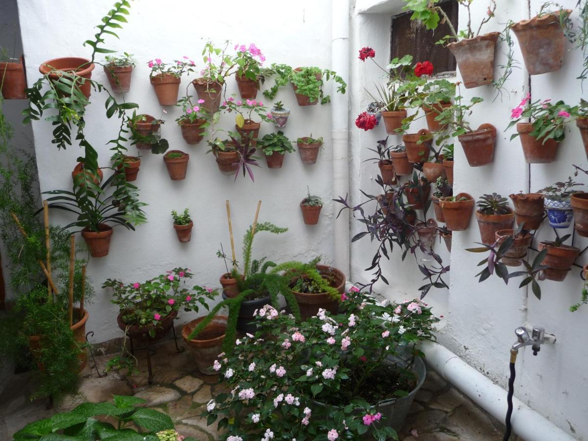 הוילה וחר דה לה פרונטרה Casa Sol מראה חיצוני תמונה